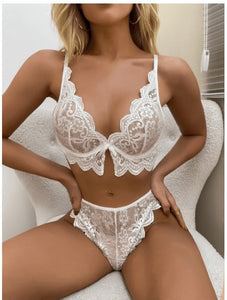 Women's Sexy Lace Erotic Two-Piece Erotic Lingerie