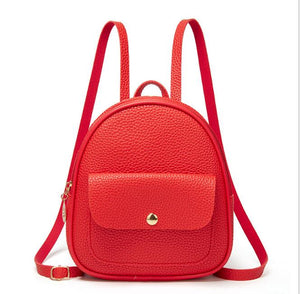 Cute Small Everyday Backpack